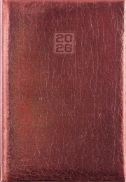 Naptár, tervező, B6, heti, DAYLINER, "Mirror", bronz